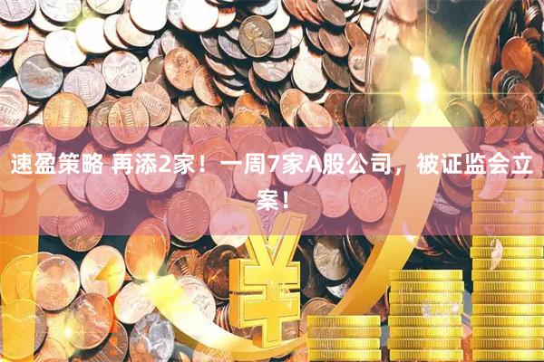 速盈策略 再添2家！一周7家A股公司，被证监会立案！