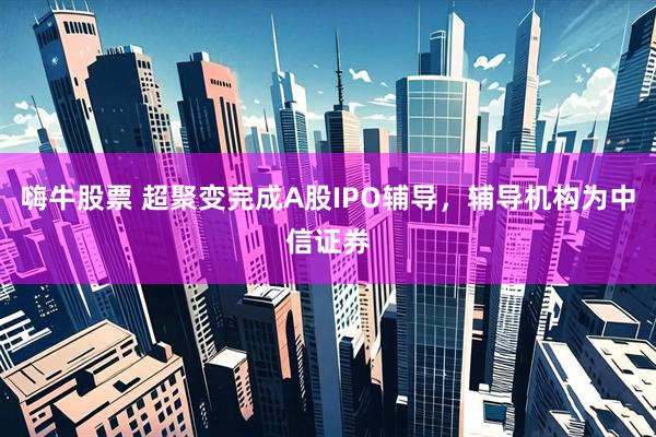 嗨牛股票 超聚变完成A股IPO辅导，辅导机构为中信证券